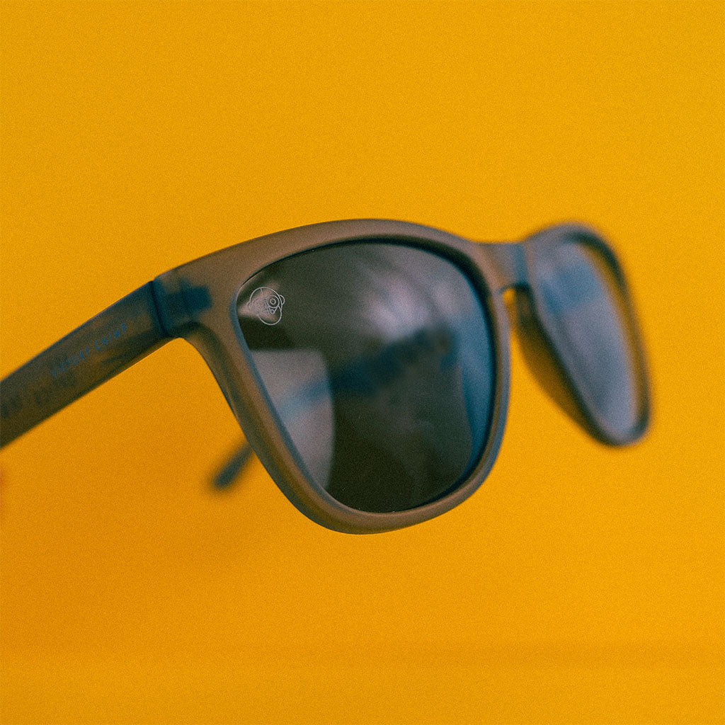 A.P.E. Optics Elwood Sunglasses (Matte Smoked Black w/Polarised Lens)