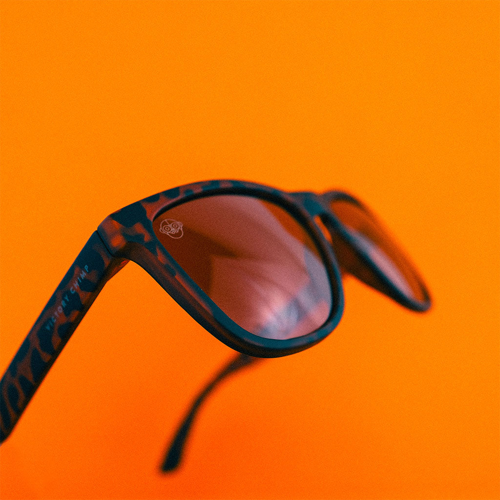 A.P.E. Optics Elwood Sunglasses (Matte Tortoiseshell w/Polarised Lens)